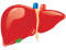 Stem Cell Therapy For Liver Cirrhosis