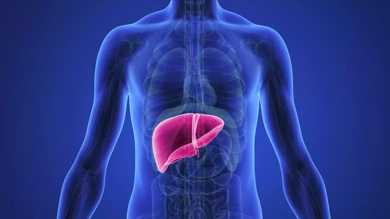 Stem Cell Therapy for Liver Cirrhosis
